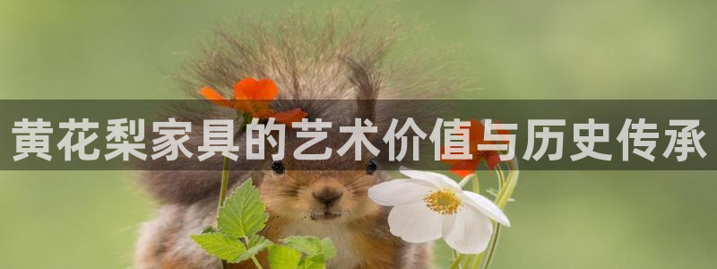 先锋娱乐游戏上分