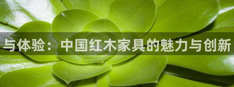 先锋娱乐上分