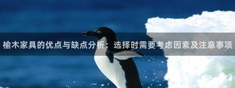 先锋队娱乐