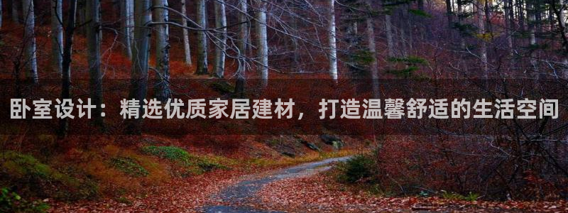 先锋娱乐简介图片
