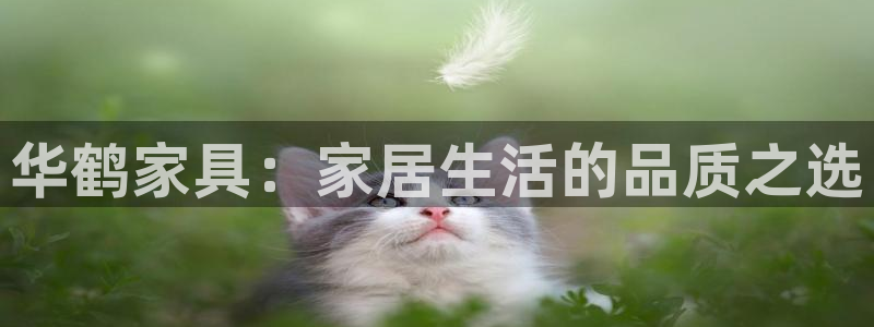 先锋娱乐俱乐部