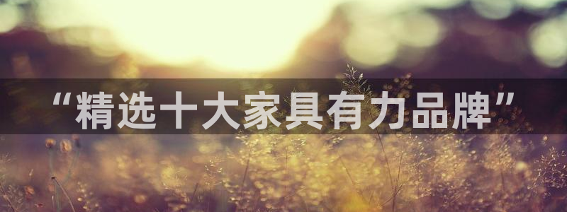 先锋娱乐在哪下载：“精选十大家具有力品牌”