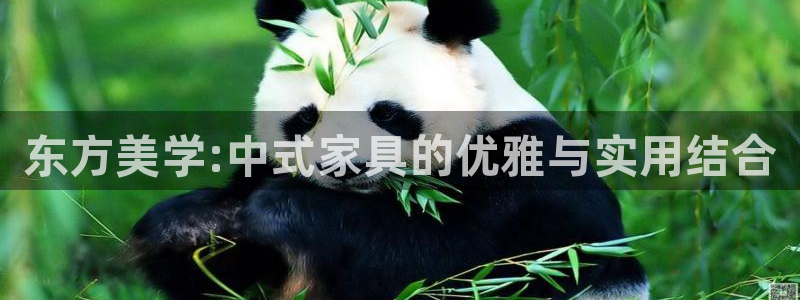 先锋娱乐剪辑