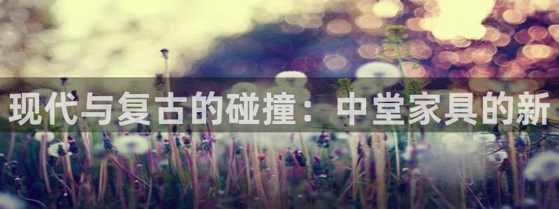 先锋娱乐系统