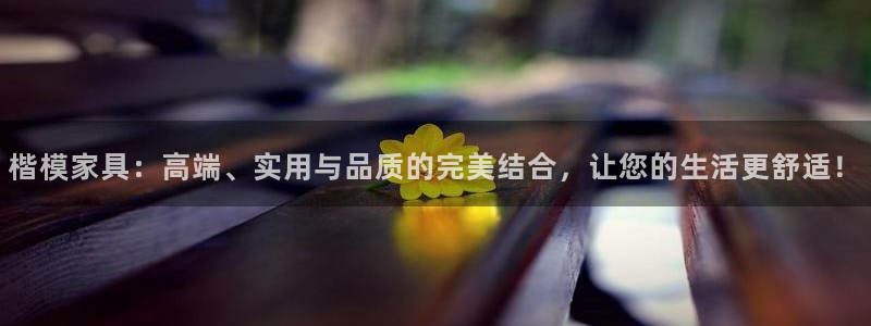 先锋娱乐官网