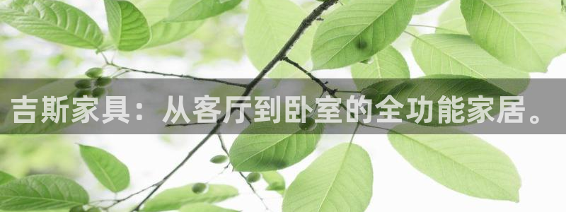 先锋娱乐挂：吉斯家具：从客厅到卧室的全功能家居。