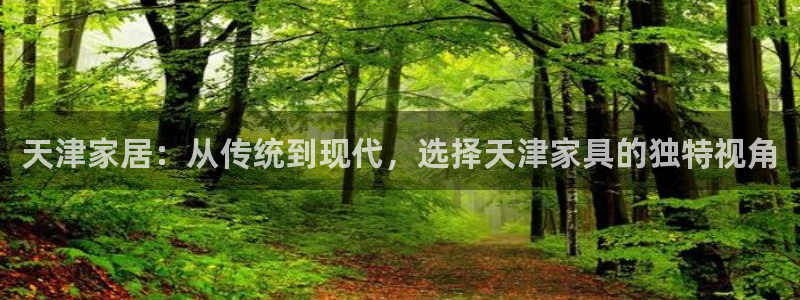 先锋娱乐场所：天津家居：从传统到现代，选择天津家具的独特视角