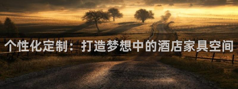 先锋游戏娱乐：个性化定制：打造梦想中的酒店家具空间