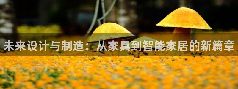 先锋娱乐公司