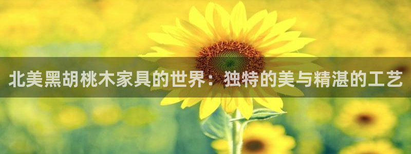 先锋娱乐软件