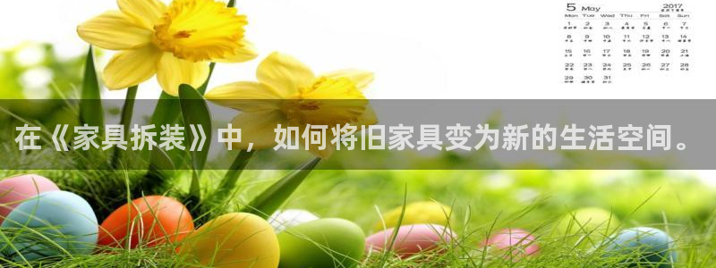 娱乐急先锋全集下载
