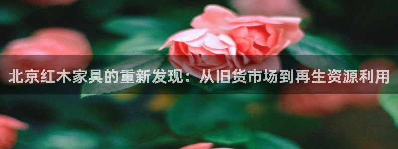 先锋娱乐资讯