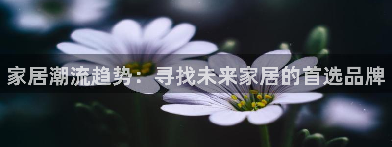 先锋娱乐客服