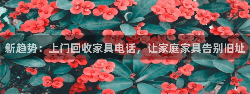 先锋娱乐大厅透视