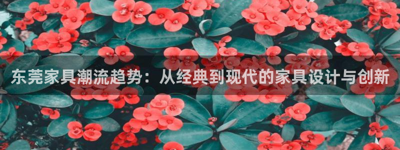 先锋娱乐在线：东莞家具潮流趋势：从经典到现代的家具设计与创新