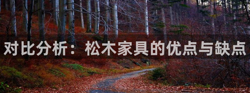 先锋娱乐垫付金额