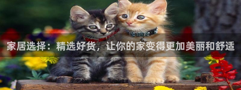 先锋娱乐游戏软件