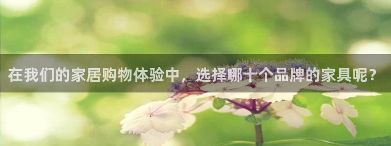 先锋娱乐快讯：在我们的家居购物体验中，选择哪十个品牌的家具呢